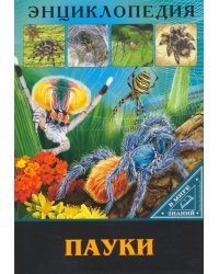 Энциклопедия. Пауки