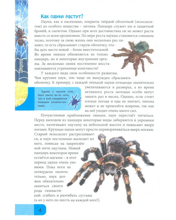 Энциклопедия. Пауки