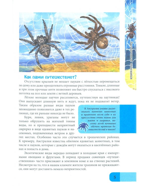 Энциклопедия. Пауки