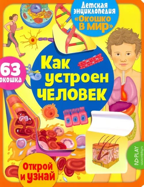 Окошко в мир. Детская энциклопедия Окошко в мир. Как устроен человек