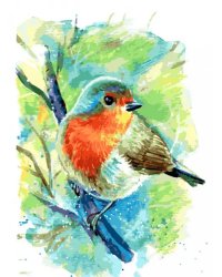 Живопись на холсте. Зарянка, 30x40 см