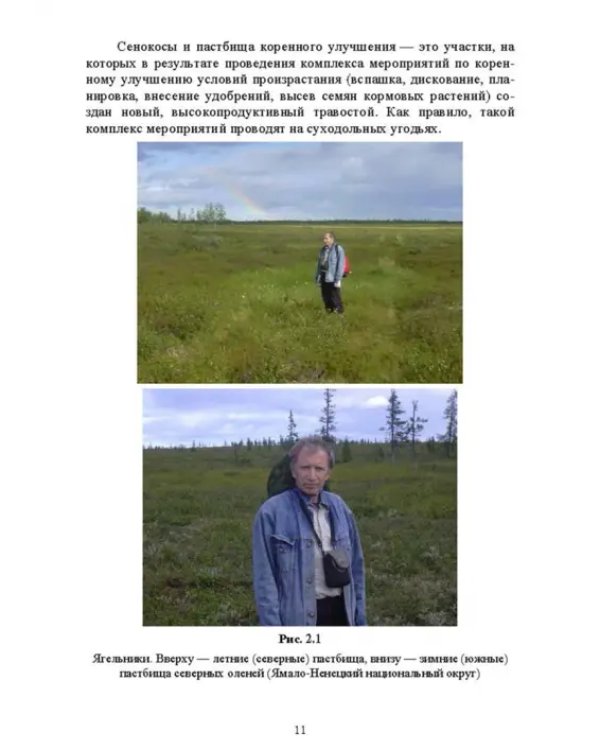 Недревесная продукция леса. Учебник