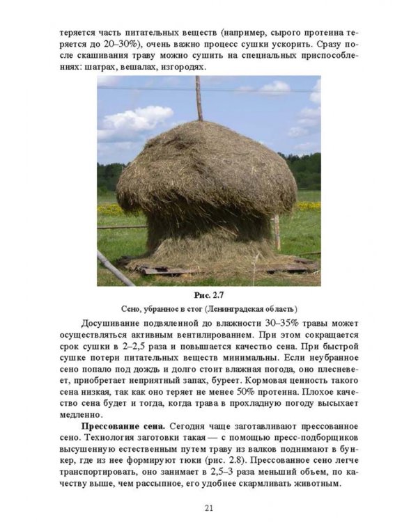 Недревесная продукция леса. Учебник