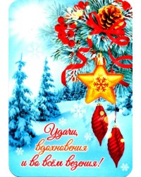 Магнит плоский "Удачи, вдохновения..", 70х100 мм