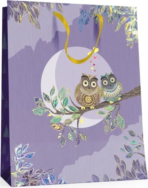 Пакет подарочный "Совы" (26x32.5x13 см) Пакет подарочный "Совы" (26x32.5x13 см)