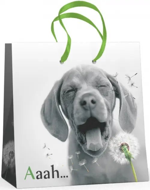 Пакет подарочный "Щенки" (16,5x16,5x9,2 см) Пакет подарочный "Щенки" (16,5x16,5x9,2 см)