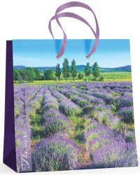 Пакет подарочный "Природа" (16,5x16,5x9,2 см)