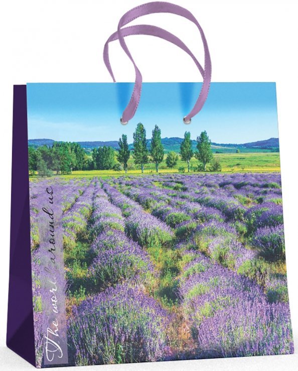 Пакет подарочный "Природа" (16,5x16,5x9,2 см) Пакет подарочный "Природа" (16,5x16,5x9,2 см)