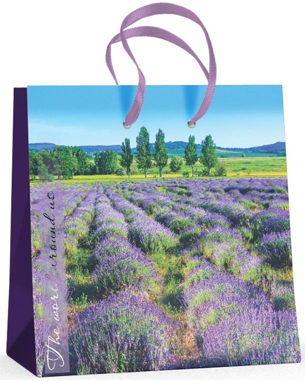 Пакет подарочный "Природа" (16,5x16,5x9,2 см)