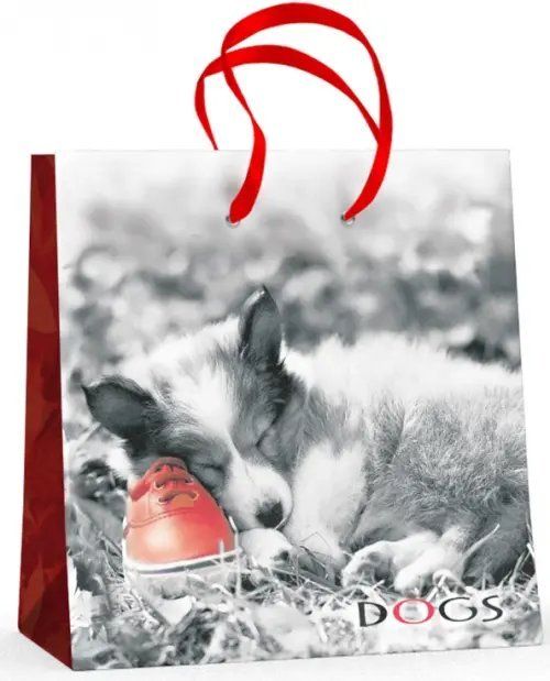 Пакет подарочный "Щенок" (16,5x16,5x6,2 см)