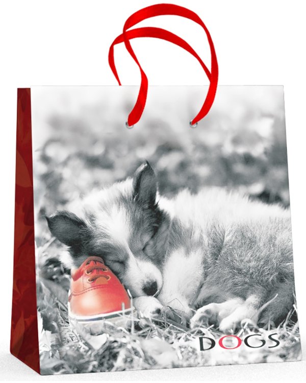 Пакет подарочный "Щенок" (16,5x16,5x6,2 см)