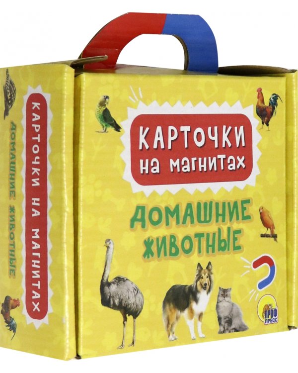 Дополнительное изображение книги «Карточки на магнитах. Домашние животные»