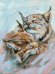 Картина по номерам. Мой сладенький!, 30x40 см