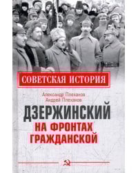 Дзержинский на фронтах Гражданской