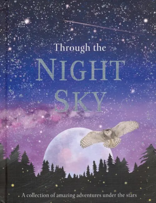 Through the Night Sky: Amazing adventures under the stars Through the Night Sky: Amazing adventures under the stars