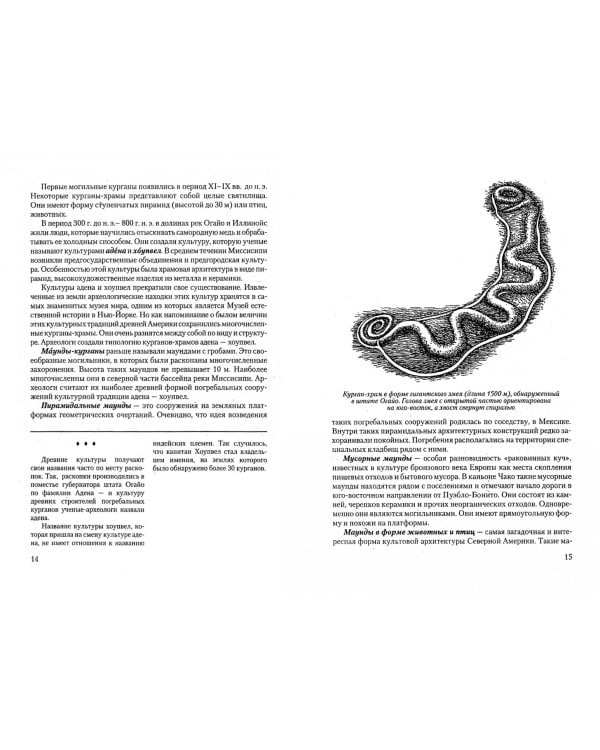 Мировая Художественная Культура. Америка, Австралия, Океания, Азия, Африка. Учебное пособие