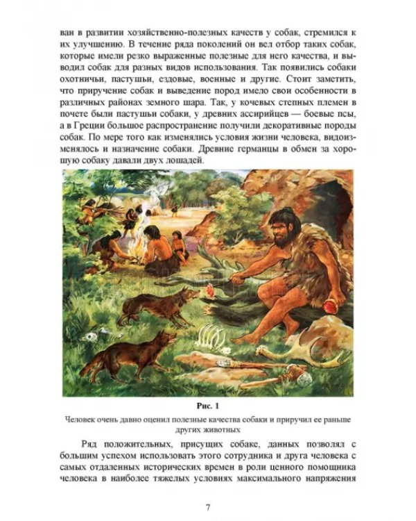Караульные собаки в охране народнохозяйственных объектов и частных владений. Учебное пособие для СПО