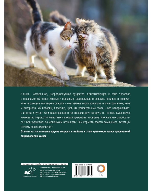 Кошки. Лучший иллюстрированный гид