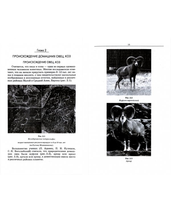 Овцеводство и козоводство. Учебник для СПО