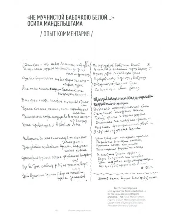 Поэзия в мертвой петле. Мандельштам и авиация