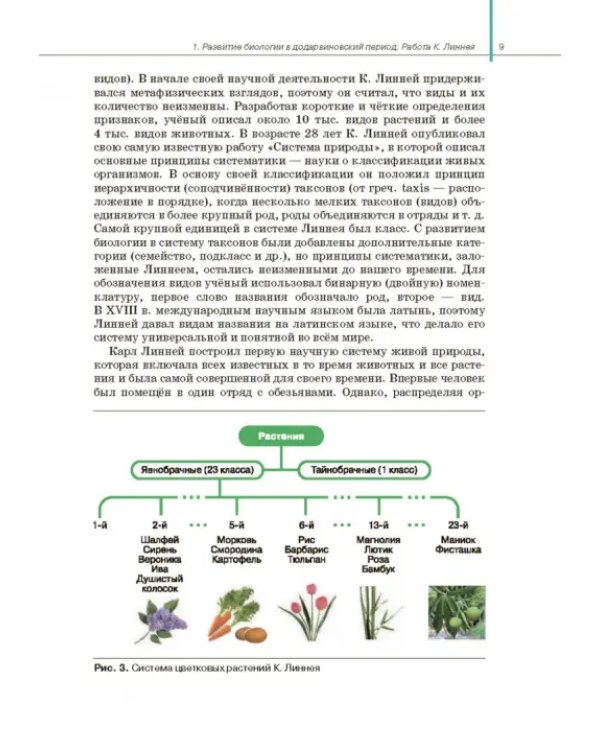 Биология. Общая биология. 11 класс. Учебник. Базовый уровень. ФГОС
