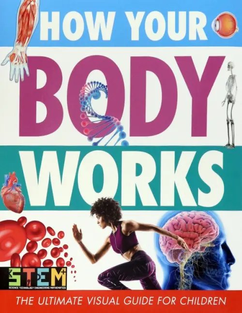 How Your Body Works. The Ultimate Visual Guide for Children