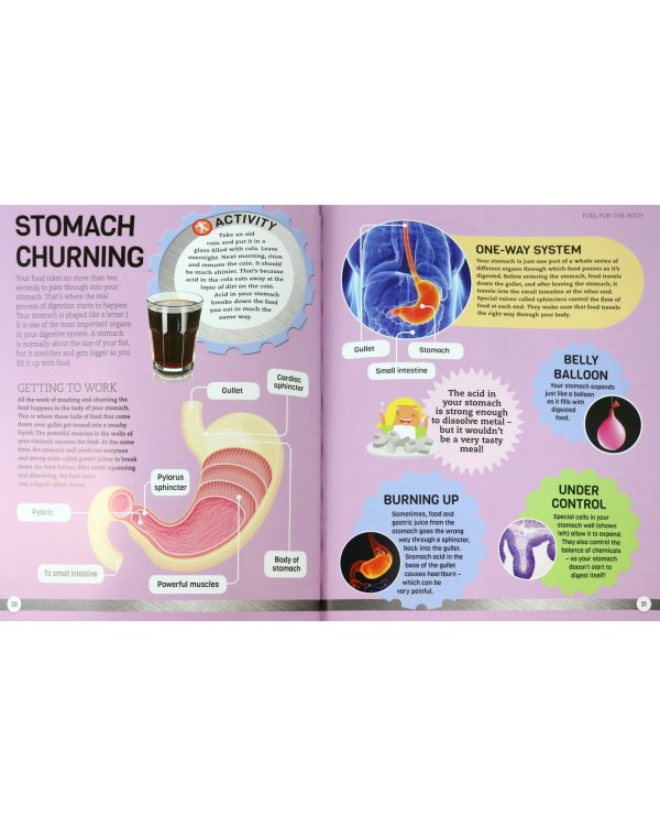 How Your Body Works. The Ultimate Visual Guide for Children