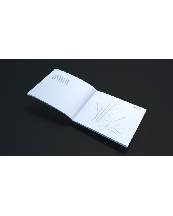 Прописи от линии к букве. Тетрадь 2