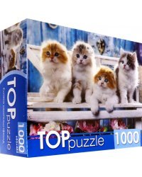 Пазл. Котята скоттиш фолд, 1000 элементов