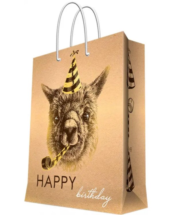 Дополнительное изображение книги «Пакет бумажный "Happy Birthday", 17,8x22,9x9,8 см»