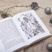 Дополнительное изображение книги «Настоящее лето Димки Бобрикова»