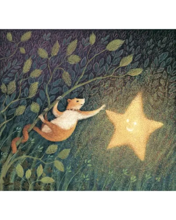 Дополнительное изображение книги «Звёздочка»