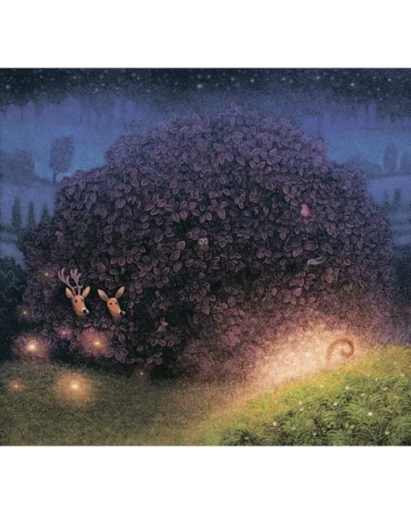 Дополнительное изображение книги «Звёздочка»