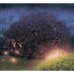 Дополнительное изображение книги «Звёздочка»