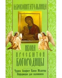 &quot;Млекопитательница&quot; икона Пресвятой Богородицы. Чудеса, акафист, канон, молитвы, информация