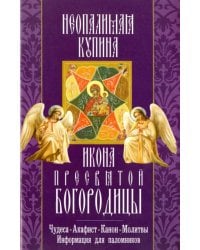 Икона Пресвятой Богородицы &quot;Неопалимая Купина&quot;. Чудеса. Акафист. Канон. Молитвы