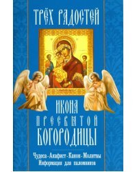 &quot;Трех Радостей&quot; икона Пресвятой Богородицы. Чудеса, акафист, канон, молитвы, информация для паломник