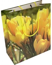 Пакет бумажный подарочный &quot;Новогодний&quot;, 26x32x12 см