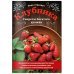 Клубника. Секреты богатого урожая