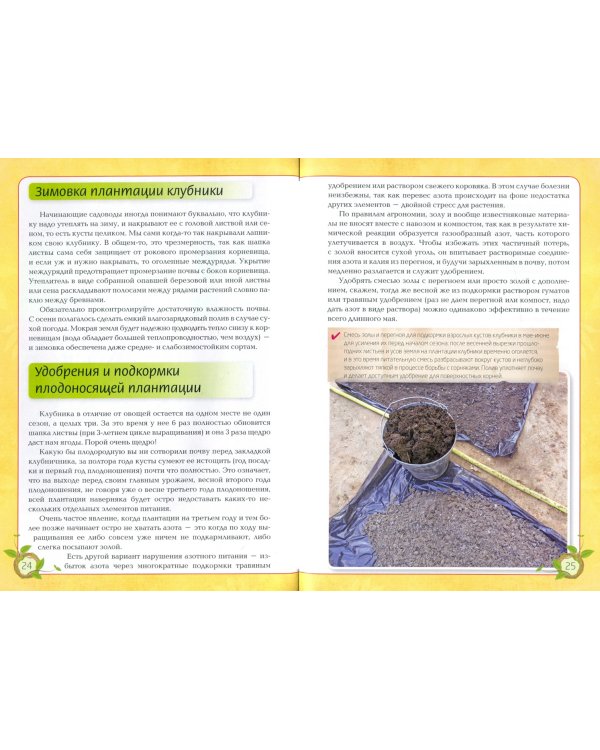 Клубника. Секреты богатого урожая