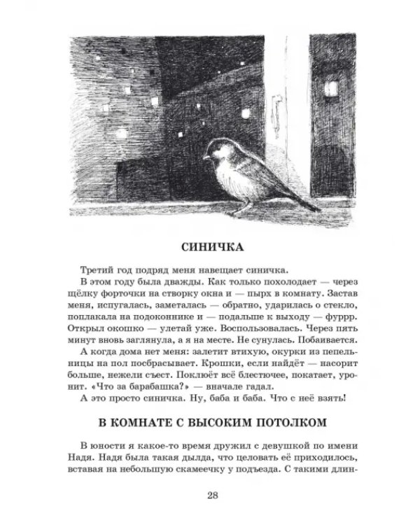 Туманность карапетов