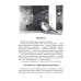 Туманность карапетов