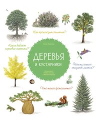 Деревья и кустарники