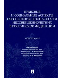 Правовые и социальные аспекты обеспечения безопасности несовершеннолетних в Российской Федерации