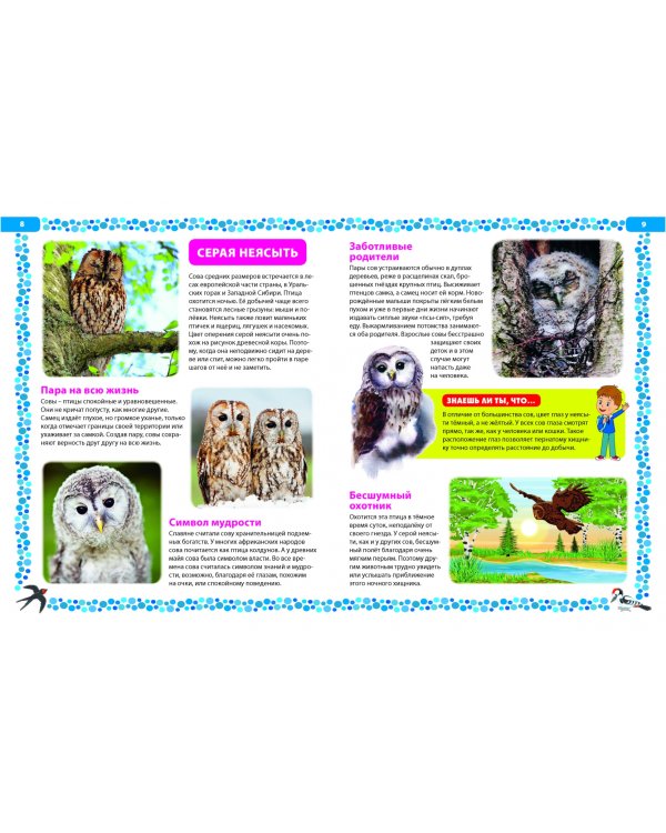 Птицы России. Детская энциклопедия