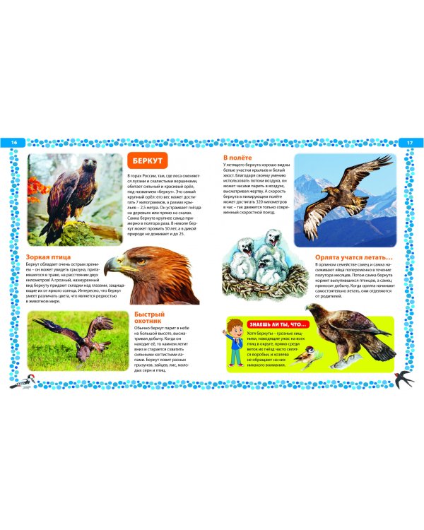 Птицы России. Детская энциклопедия