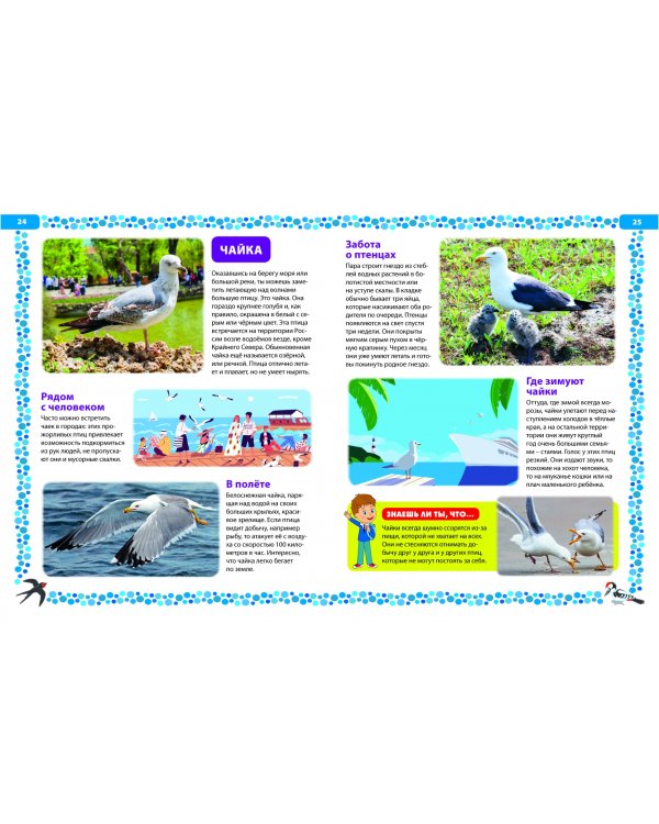 Птицы России. Детская энциклопедия