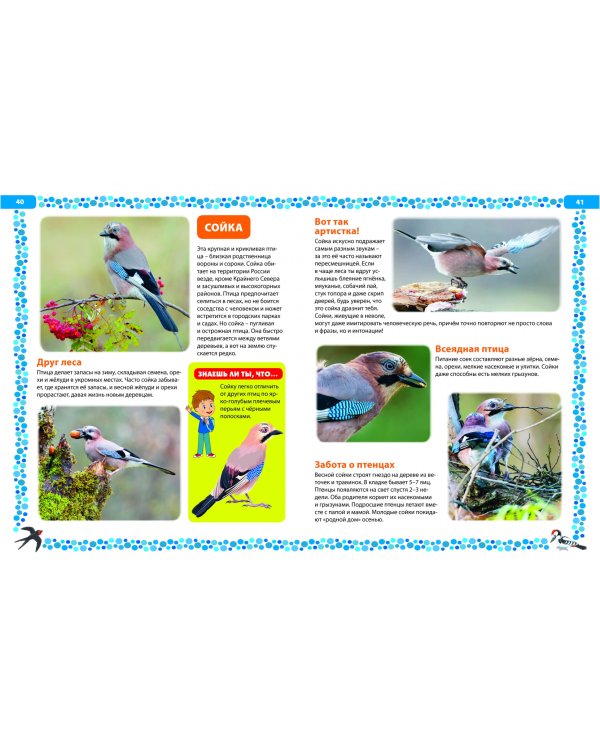 Птицы России. Детская энциклопедия