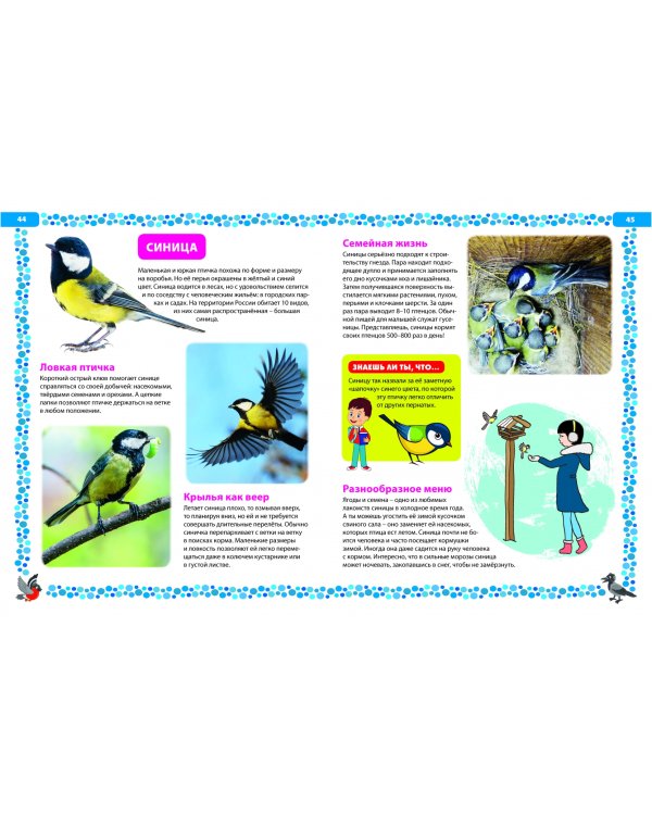 Птицы России. Детская энциклопедия