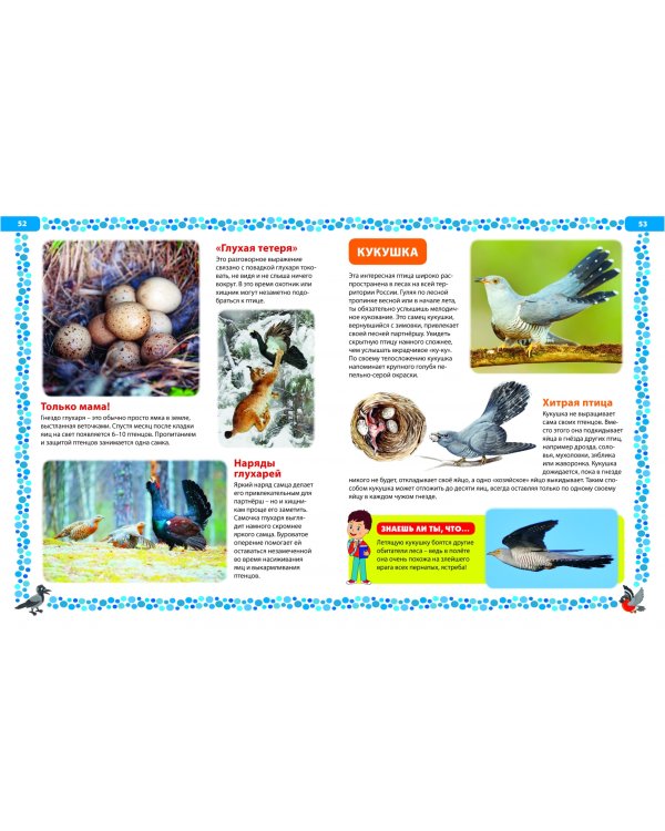 Птицы России. Детская энциклопедия